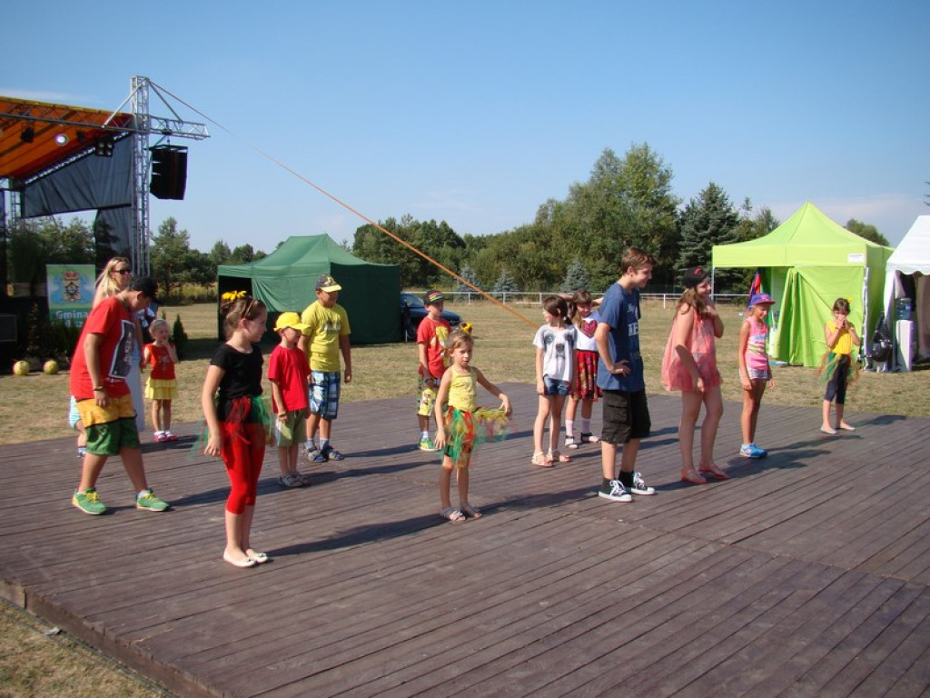 Dożynki Gminne w Dobrzyniu [fotorelacja]