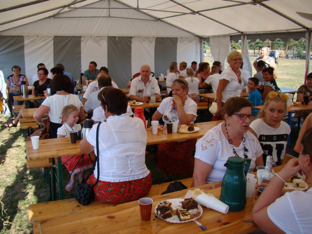 Dożynki Gminne w Dobrzyniu [fotorelacja]