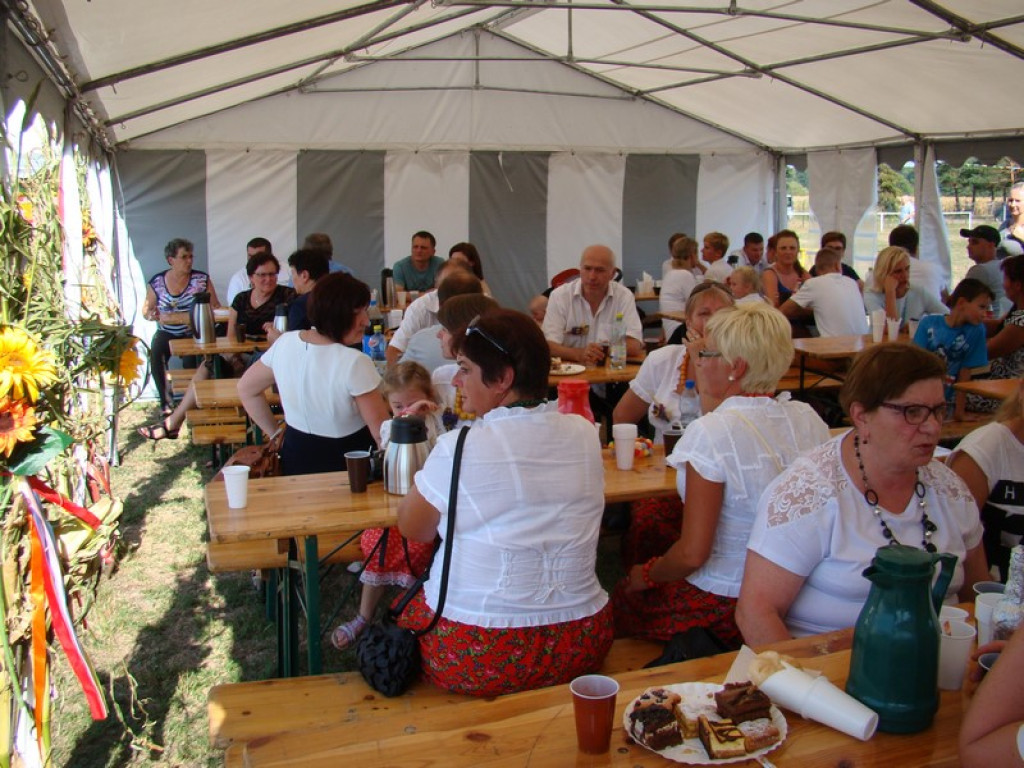 Dożynki Gminne w Dobrzyniu [fotorelacja]