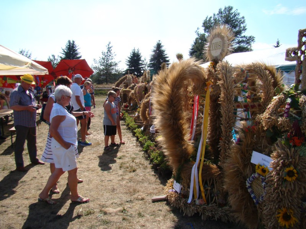 Dożynki Gminne w Dobrzyniu [fotorelacja]