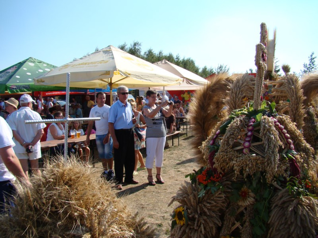 Dożynki Gminne w Dobrzyniu [fotorelacja]