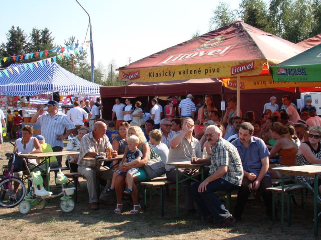 Dożynki Gminne w Dobrzyniu [fotorelacja]