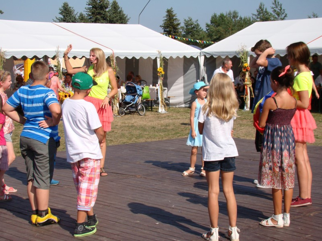 Dożynki Gminne w Dobrzyniu [fotorelacja]