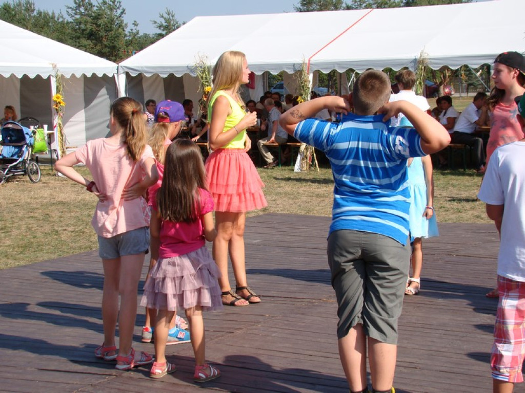 Dożynki Gminne w Dobrzyniu [fotorelacja]