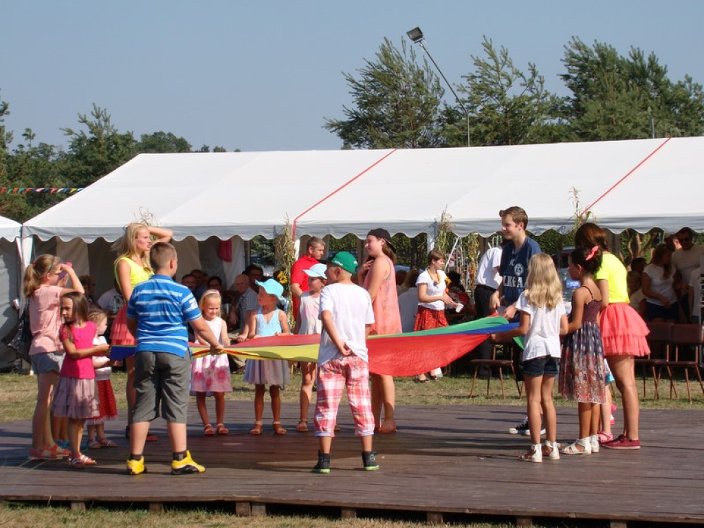 Dożynki Gminne w Dobrzyniu [fotorelacja]