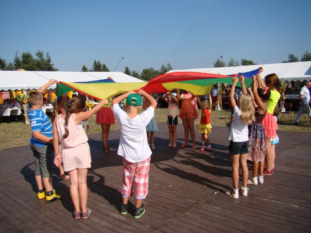 Dożynki Gminne w Dobrzyniu [fotorelacja]