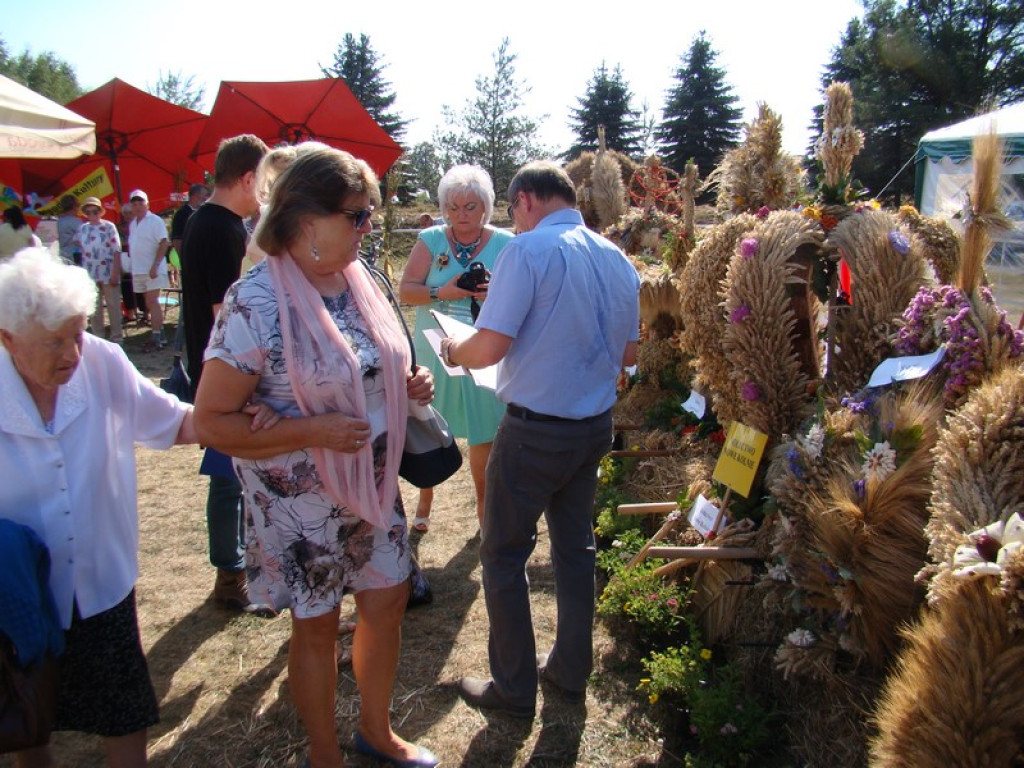 Dożynki Gminne w Dobrzyniu [fotorelacja]
