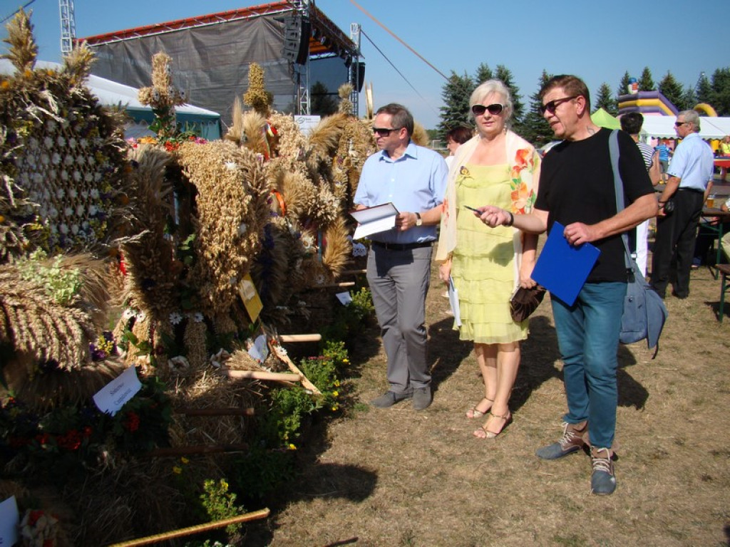 Dożynki Gminne w Dobrzyniu [fotorelacja]