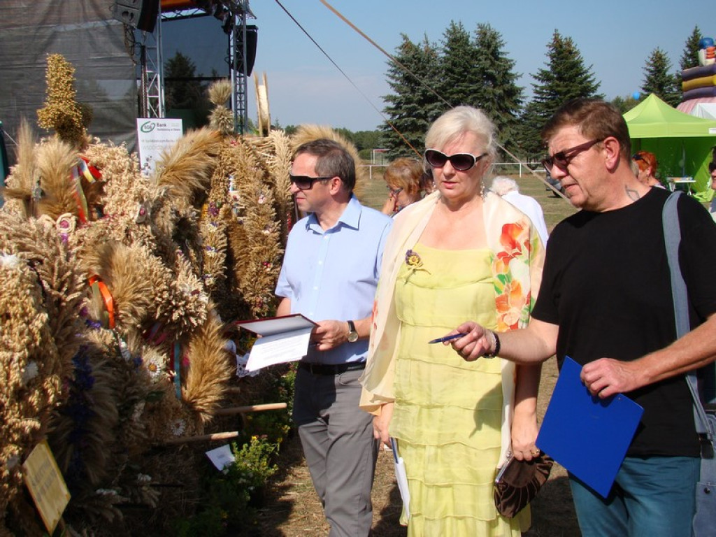 Dożynki Gminne w Dobrzyniu [fotorelacja]