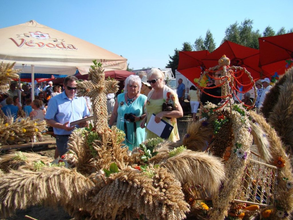 Dożynki Gminne w Dobrzyniu [fotorelacja]