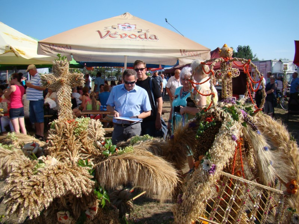 Dożynki Gminne w Dobrzyniu [fotorelacja]