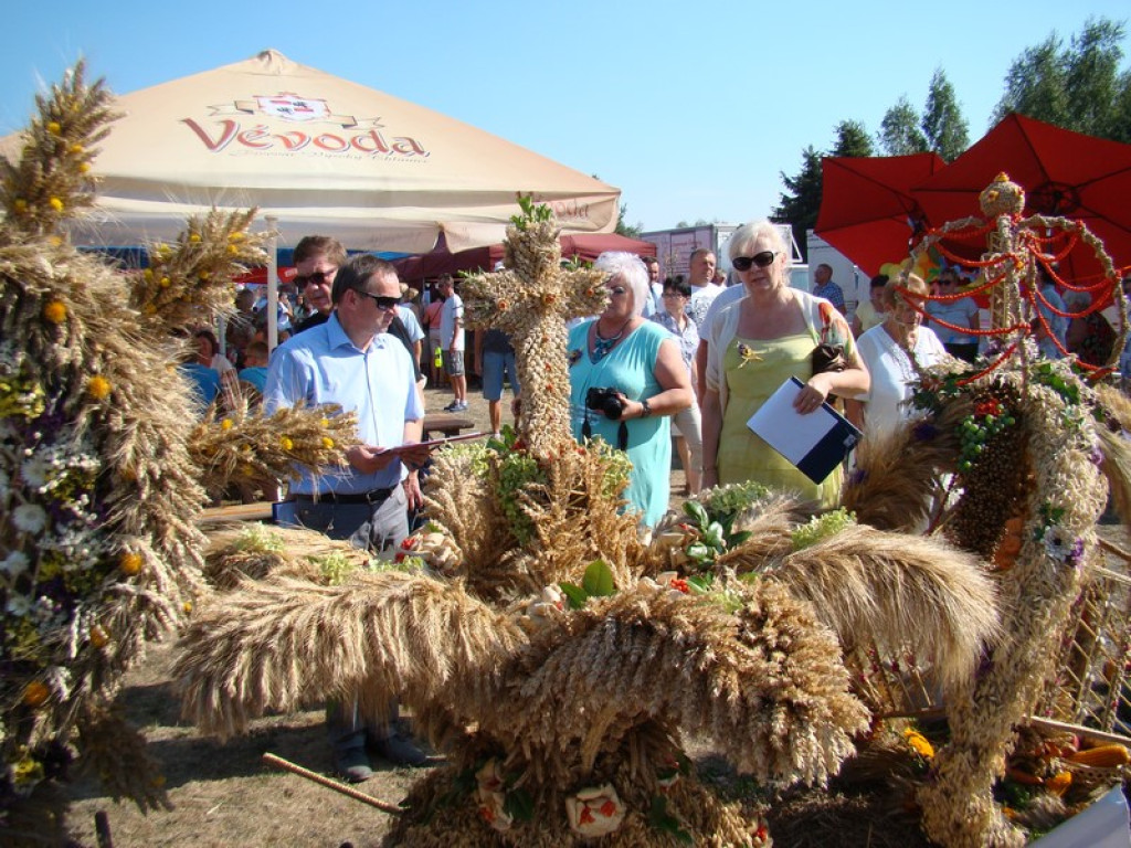 Dożynki Gminne w Dobrzyniu [fotorelacja]