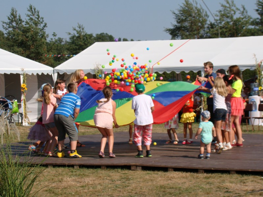 Dożynki Gminne w Dobrzyniu [fotorelacja]