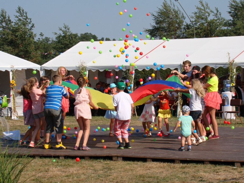 Dożynki Gminne w Dobrzyniu [fotorelacja]