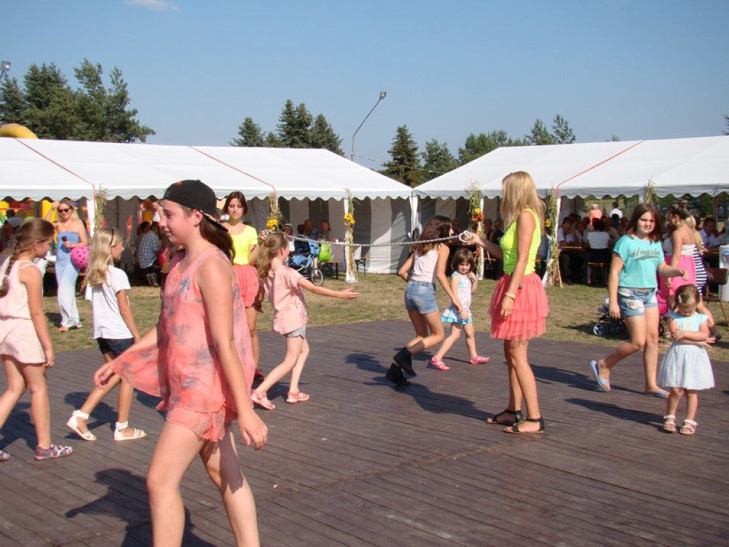 Dożynki Gminne w Dobrzyniu [fotorelacja]