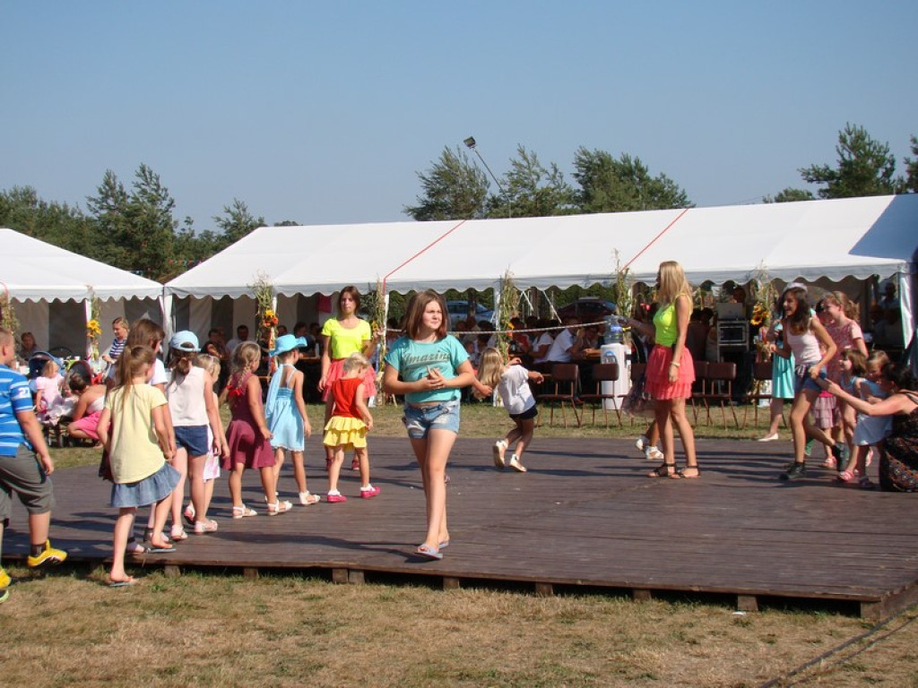 Dożynki Gminne w Dobrzyniu [fotorelacja]
