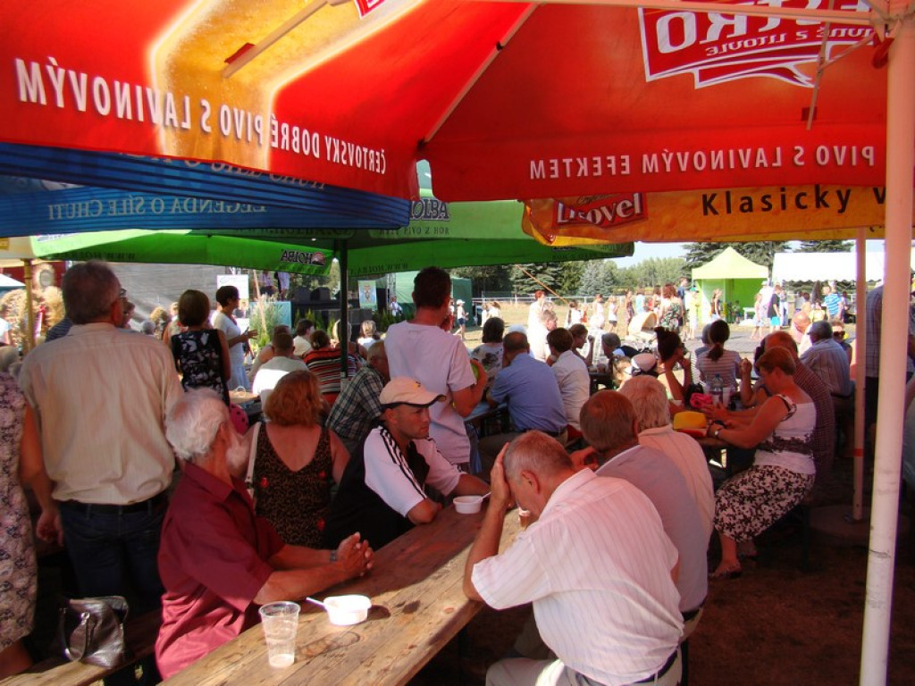 Dożynki Gminne w Dobrzyniu [fotorelacja]