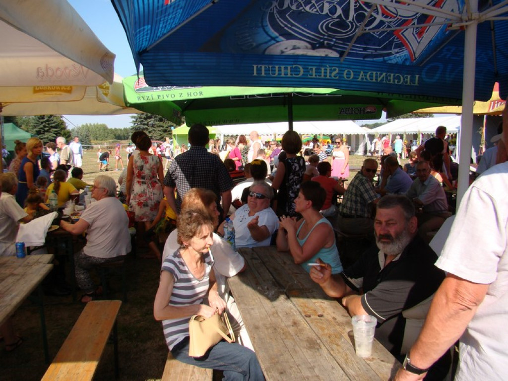 Dożynki Gminne w Dobrzyniu [fotorelacja]