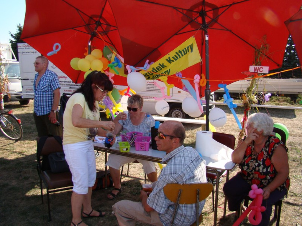 Dożynki Gminne w Dobrzyniu [fotorelacja]