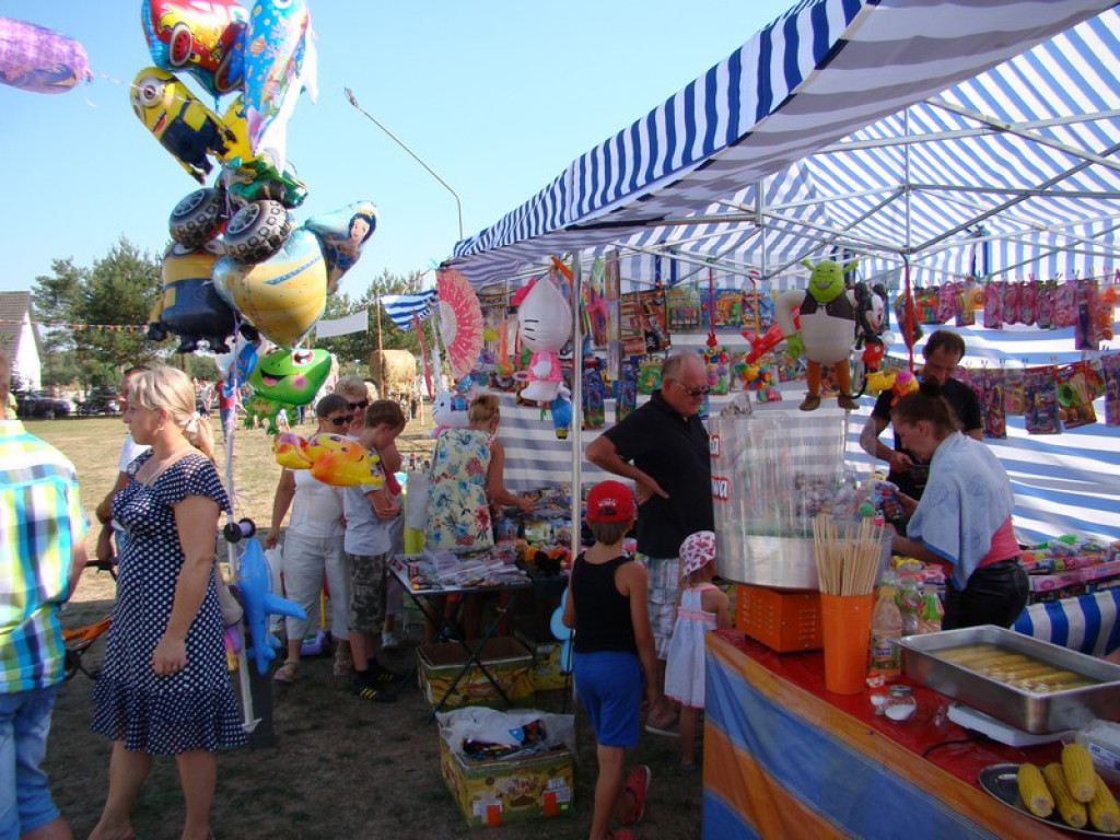 Dożynki Gminne w Dobrzyniu [fotorelacja]