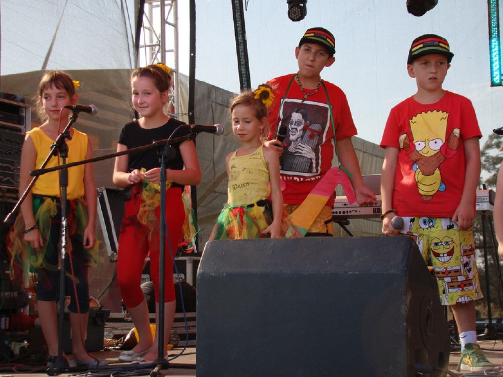 Dożynki Gminne w Dobrzyniu [fotorelacja]