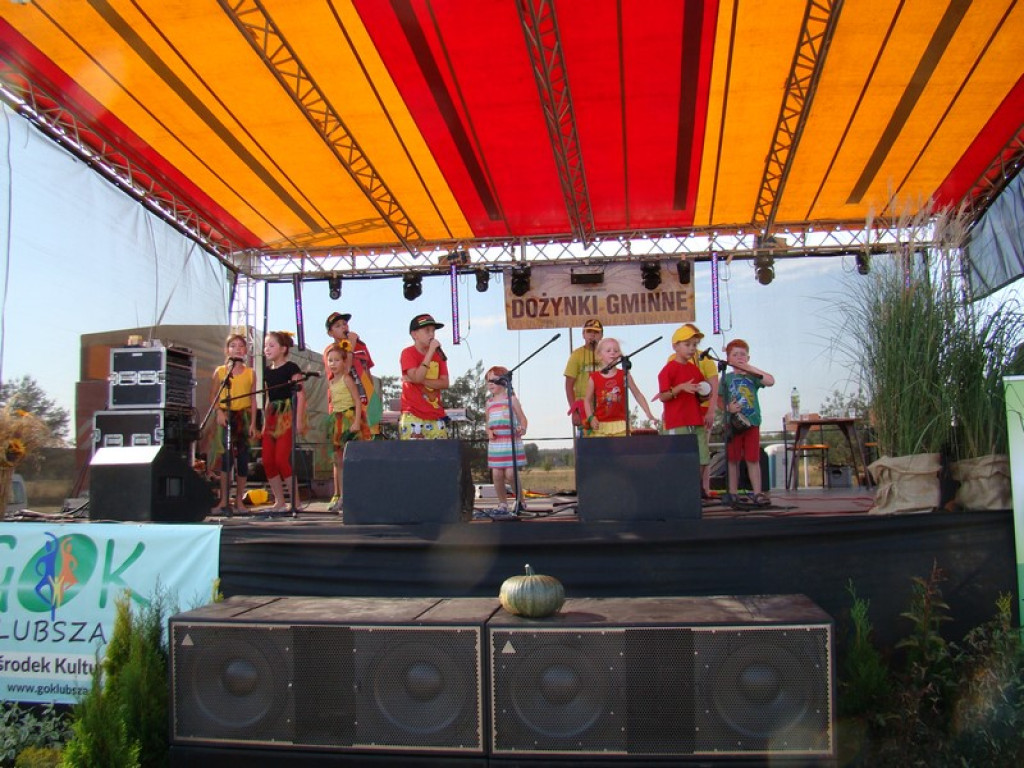 Dożynki Gminne w Dobrzyniu [fotorelacja]
