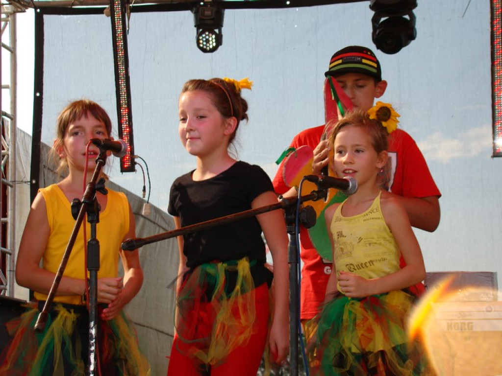 Dożynki Gminne w Dobrzyniu [fotorelacja]