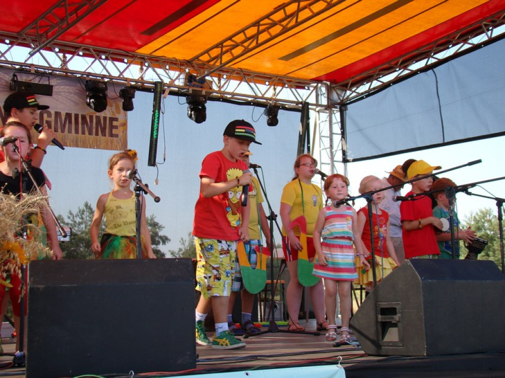 Dożynki Gminne w Dobrzyniu [fotorelacja]