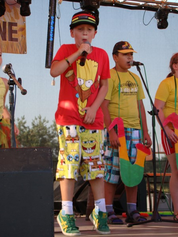 Dożynki Gminne w Dobrzyniu [fotorelacja]