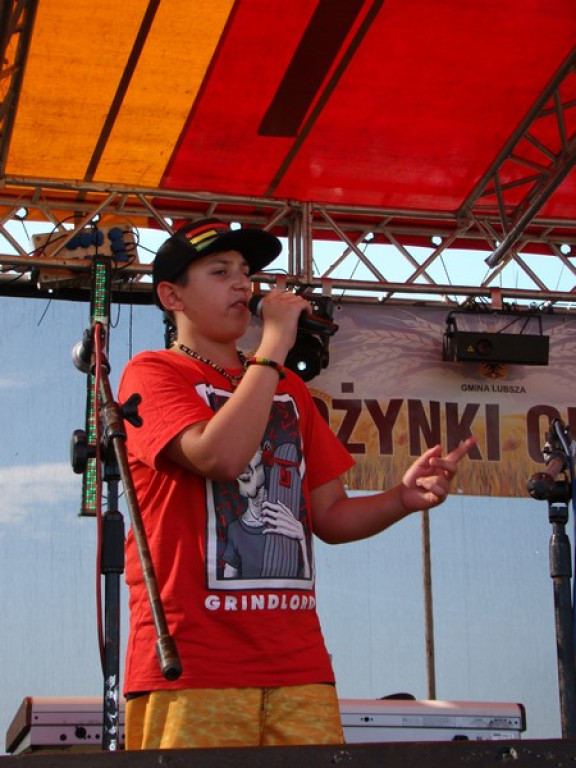 Dożynki Gminne w Dobrzyniu [fotorelacja]