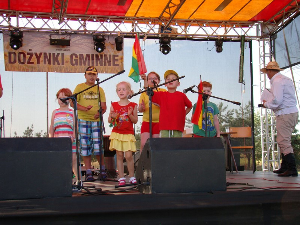 Dożynki Gminne w Dobrzyniu [fotorelacja]