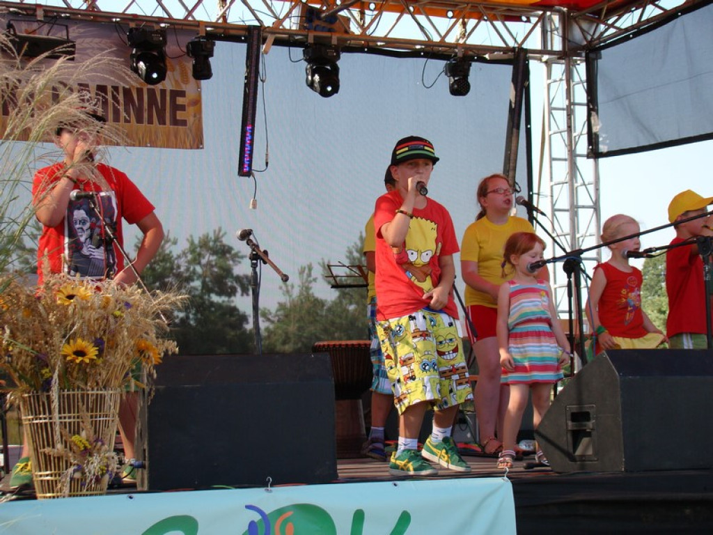 Dożynki Gminne w Dobrzyniu [fotorelacja]