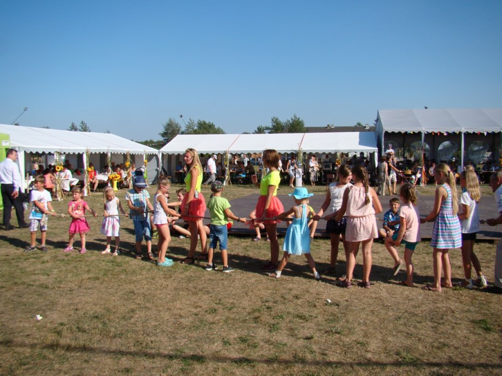 Dożynki Gminne w Dobrzyniu [fotorelacja]