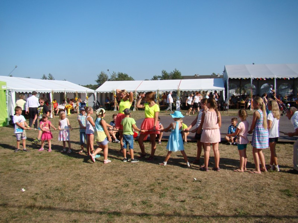 Dożynki Gminne w Dobrzyniu [fotorelacja]