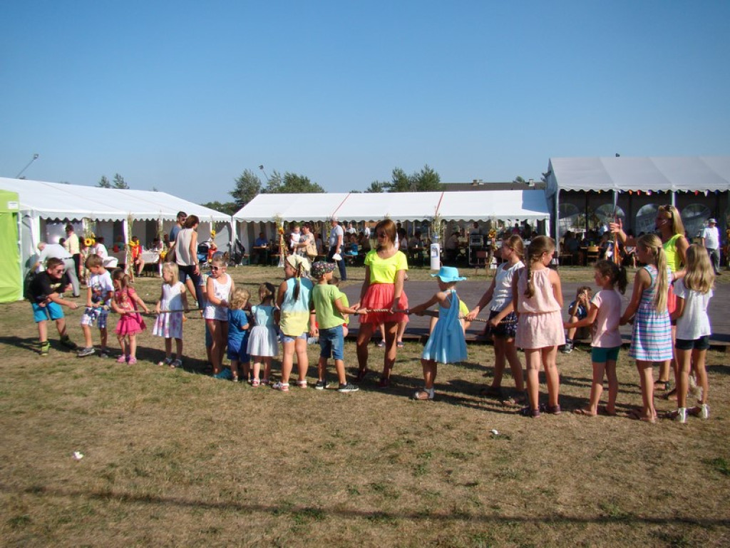 Dożynki Gminne w Dobrzyniu [fotorelacja]