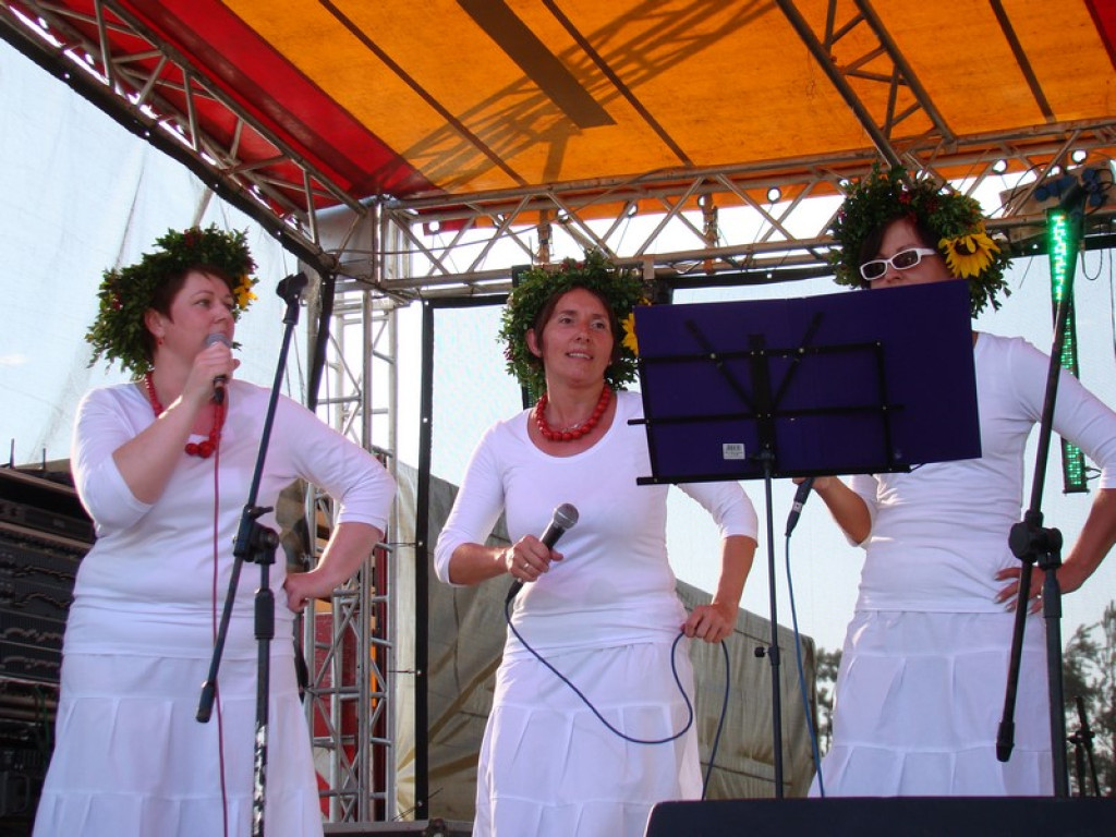 Dożynki Gminne w Dobrzyniu [fotorelacja]