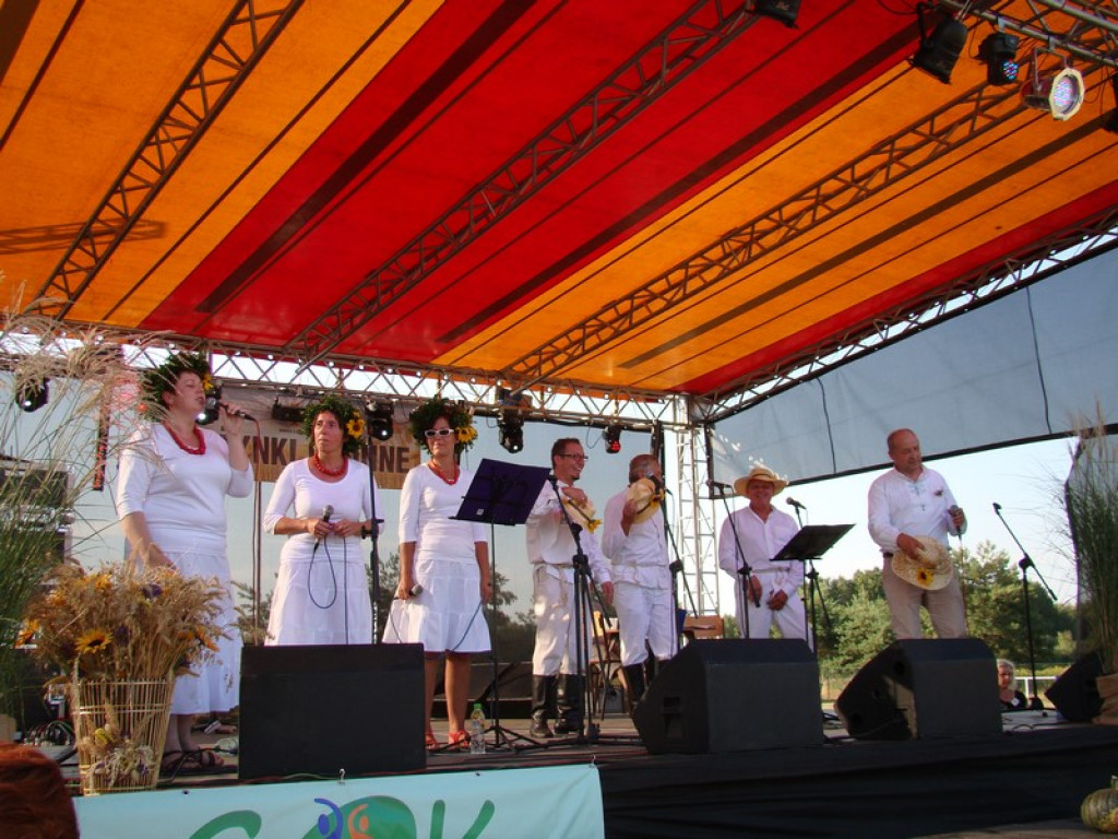 Dożynki Gminne w Dobrzyniu [fotorelacja]