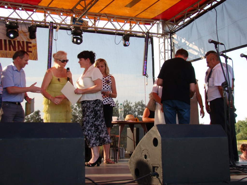 Dożynki Gminne w Dobrzyniu [fotorelacja]