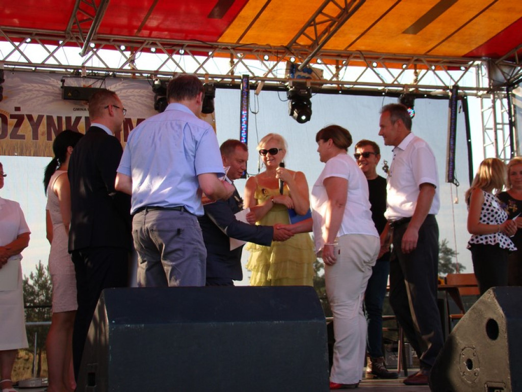 Dożynki Gminne w Dobrzyniu [fotorelacja]