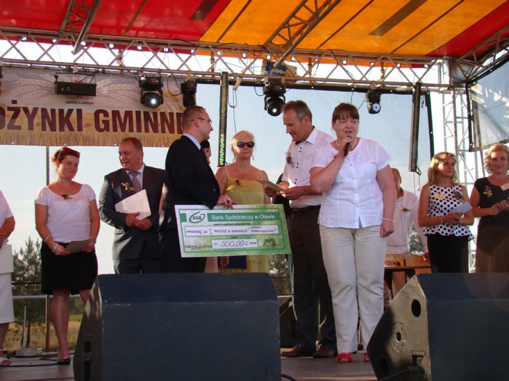 Dożynki Gminne w Dobrzyniu [fotorelacja]