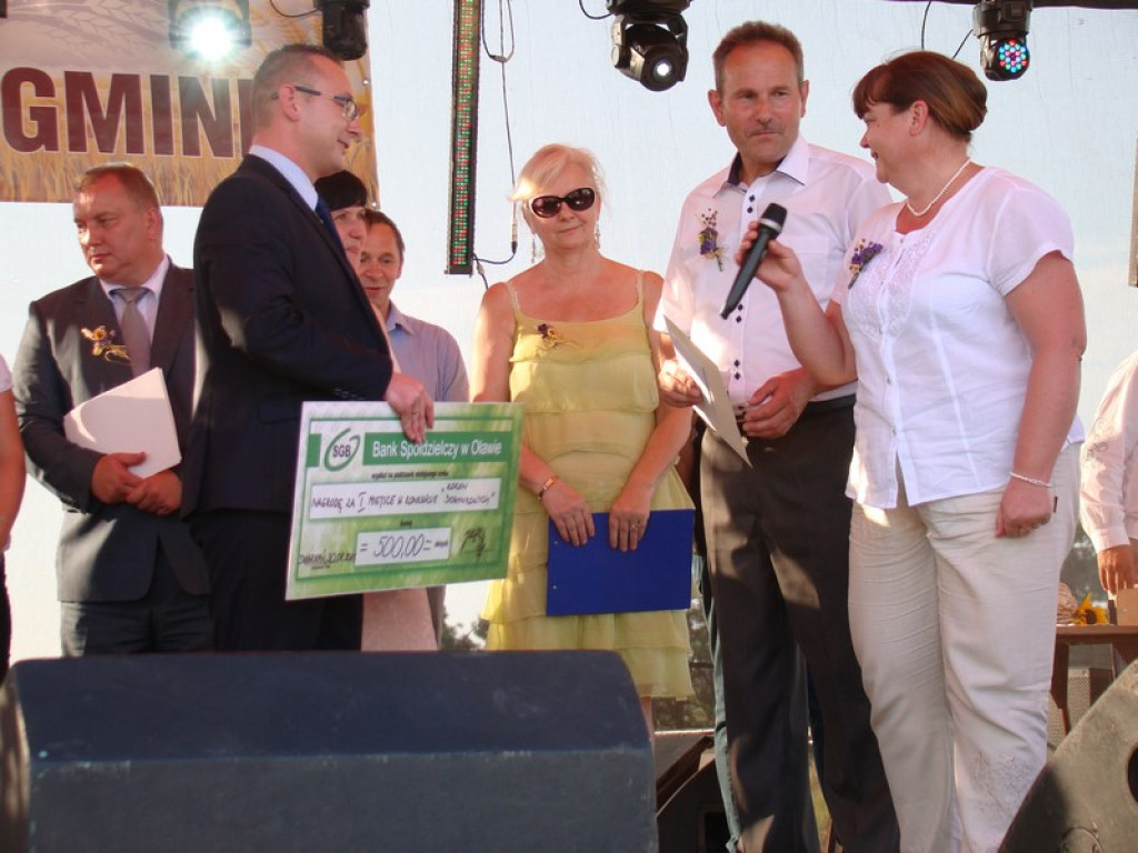 Dożynki Gminne w Dobrzyniu [fotorelacja]