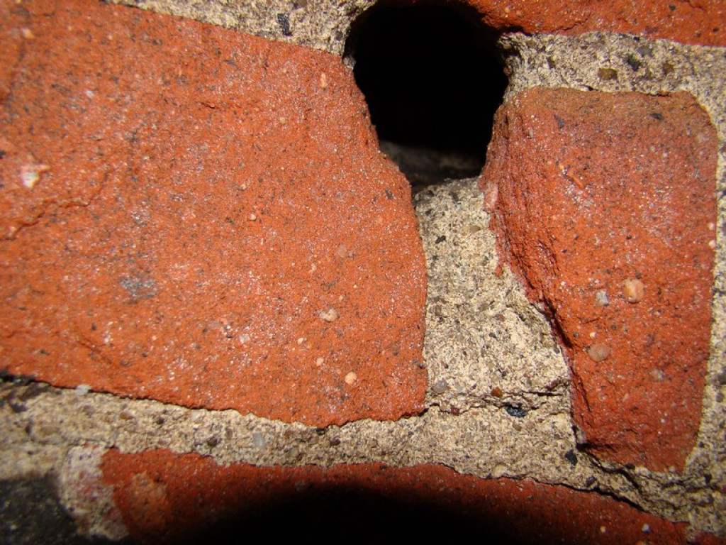 Podziemna piekarnia w Brzegu? Co kryją piwnice przy ul. Zakonnic?