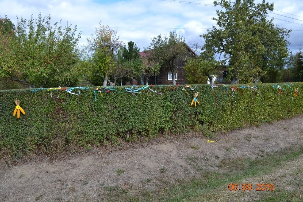 Lewin Brzeski - Gminne Święto Plonów w Sarnach Małych