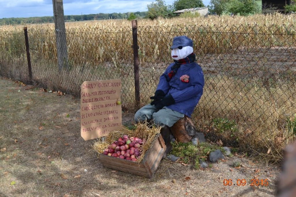 Lewin Brzeski - Gminne Święto Plonów w Sarnach Małych