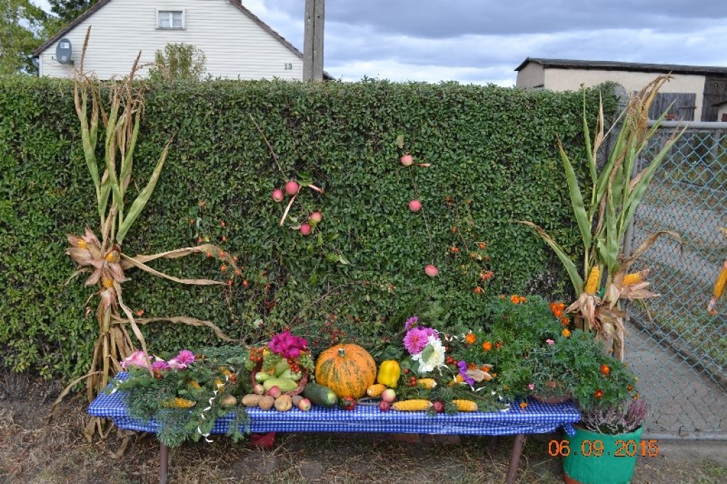 Lewin Brzeski - Gminne Święto Plonów w Sarnach Małych