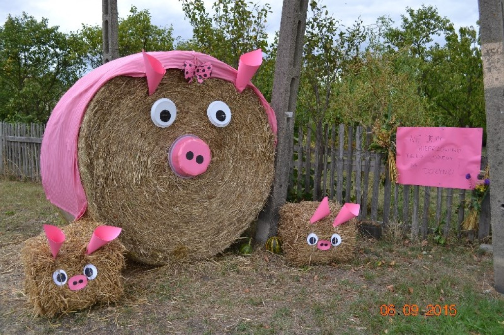 Lewin Brzeski - Gminne Święto Plonów w Sarnach Małych