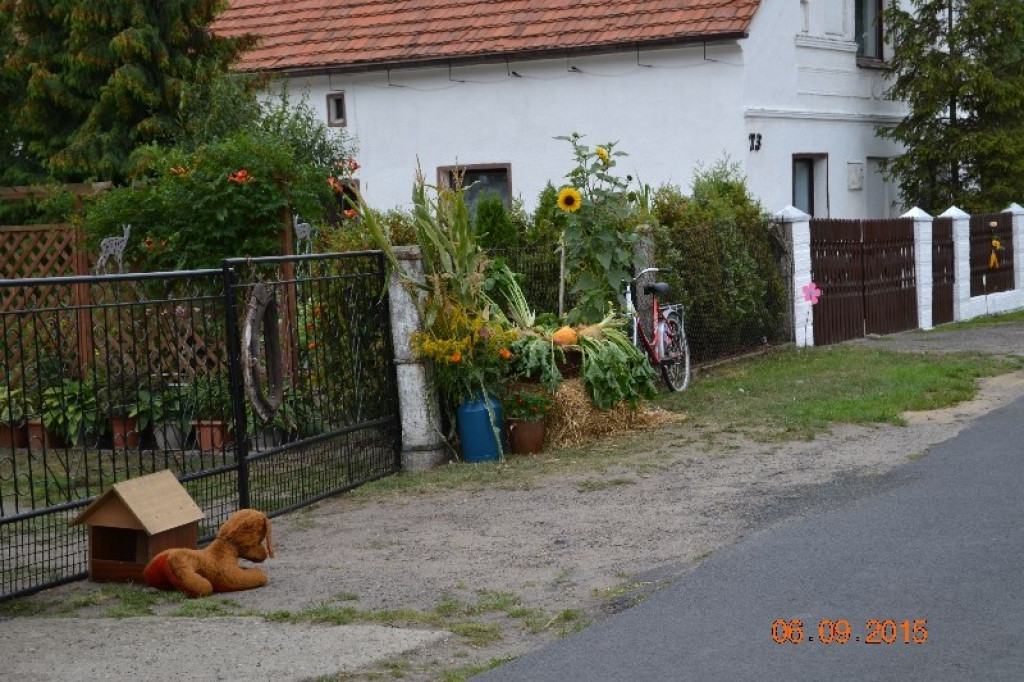 Lewin Brzeski - Gminne Święto Plonów w Sarnach Małych