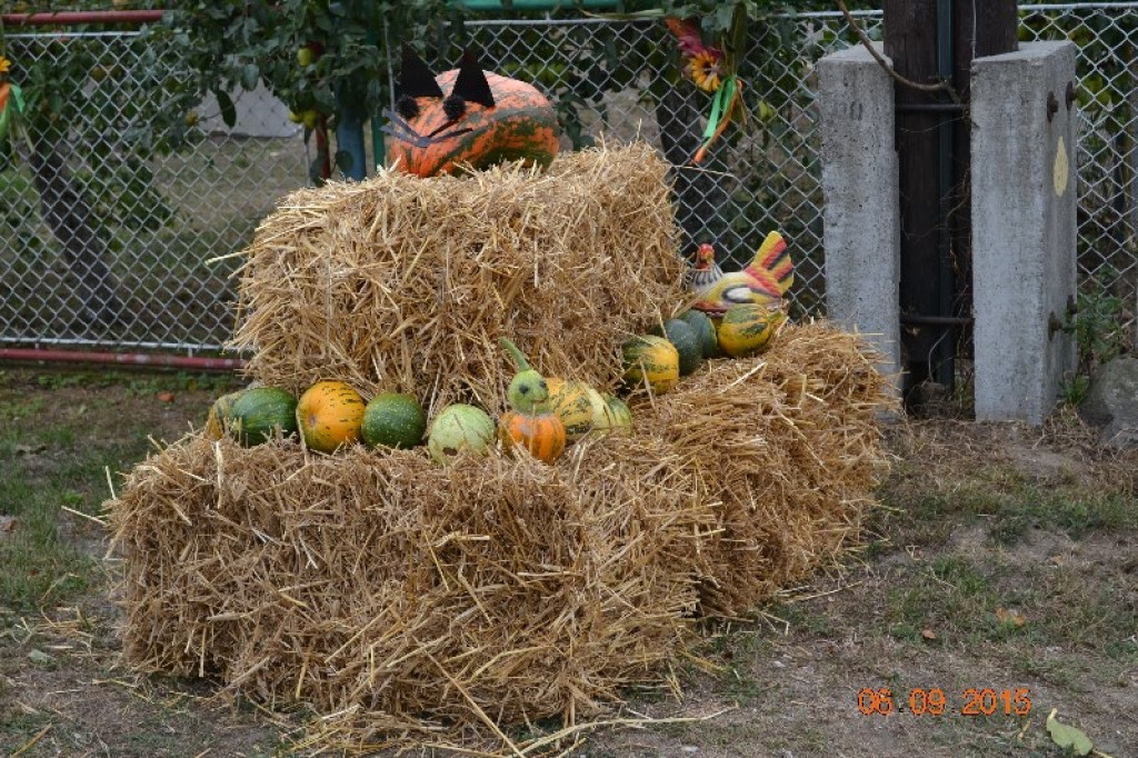 Lewin Brzeski - Gminne Święto Plonów w Sarnach Małych