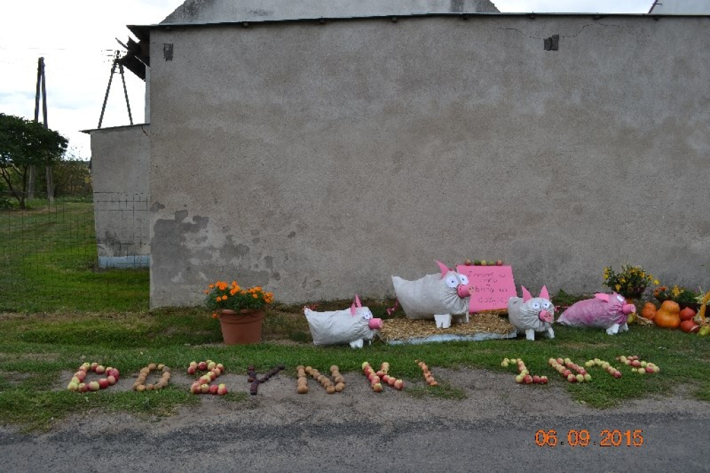 Lewin Brzeski - Gminne Święto Plonów w Sarnach Małych