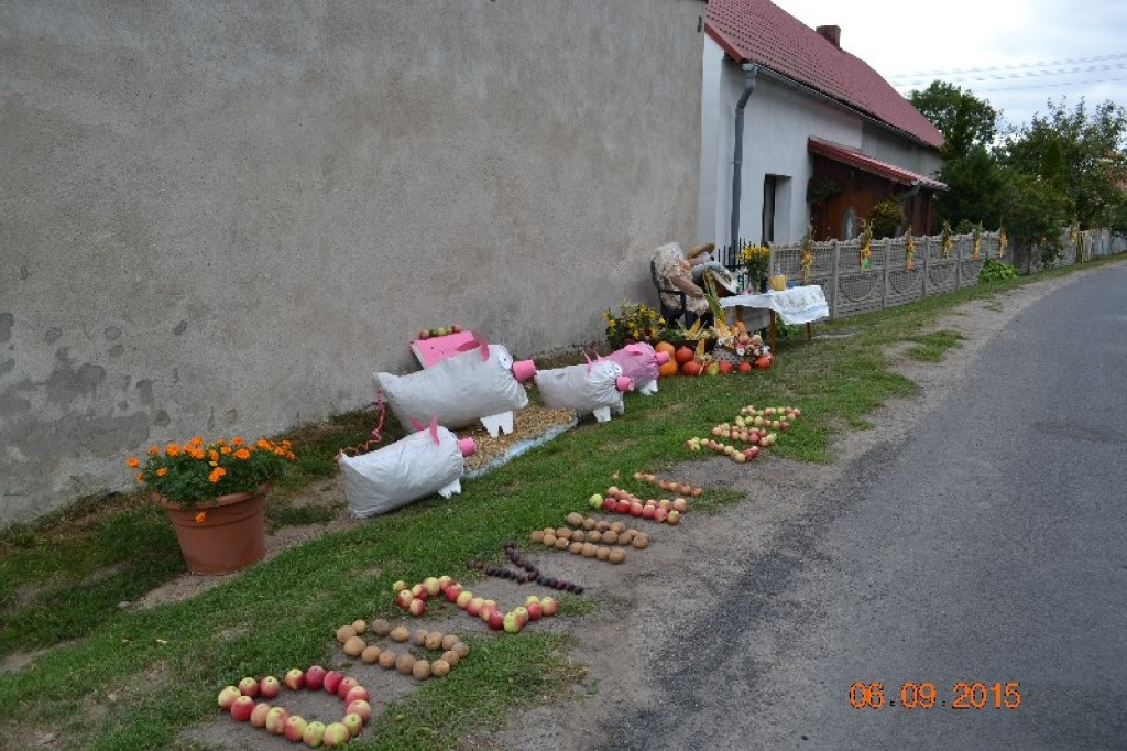 Lewin Brzeski - Gminne Święto Plonów w Sarnach Małych